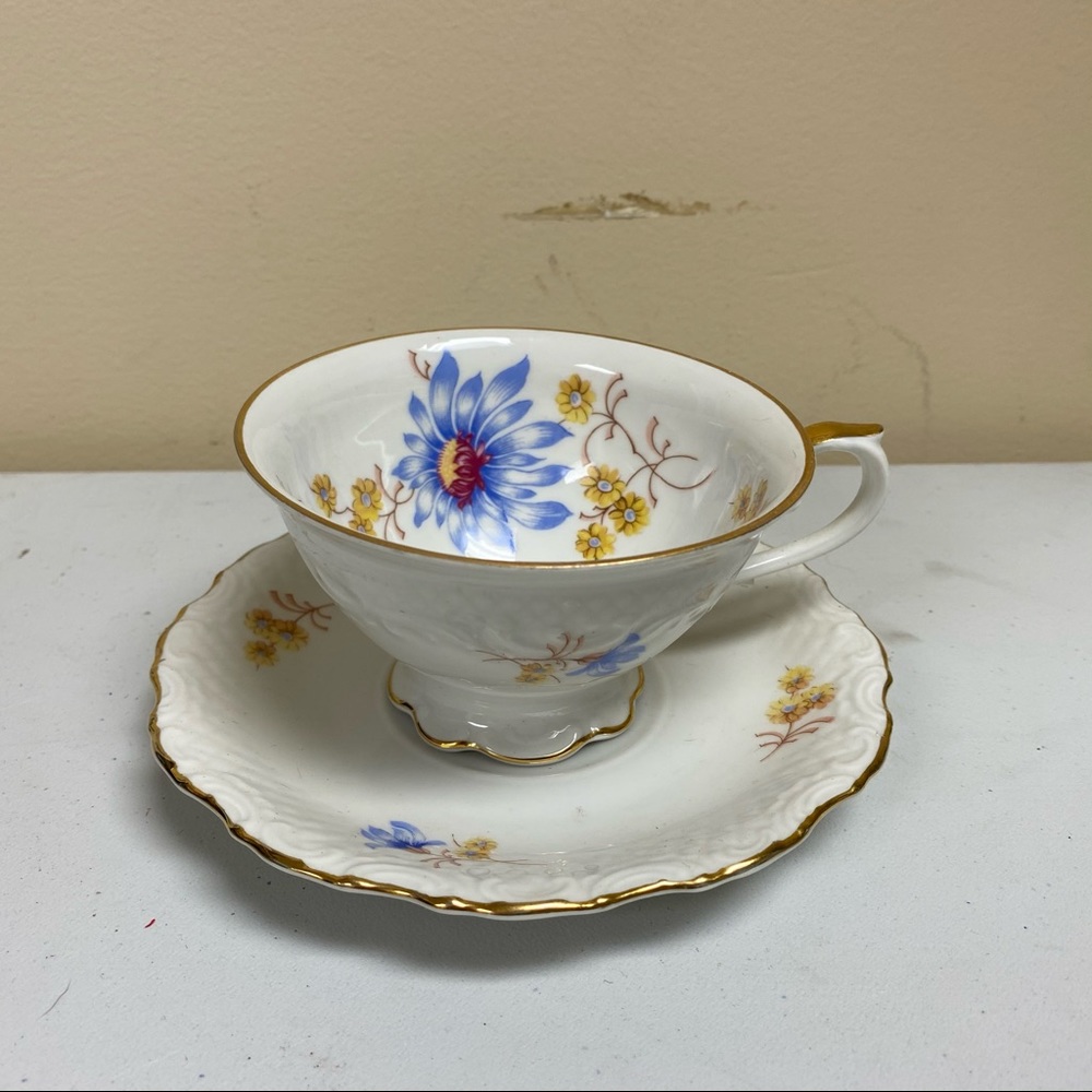 Schumann Germany Set of 4 Tea Cups w/ Saucer & 2 extra replacement Saucer